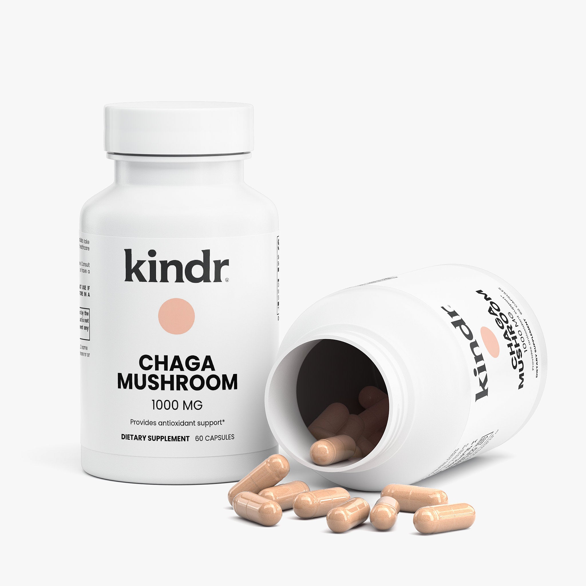 Chaga Mushroom